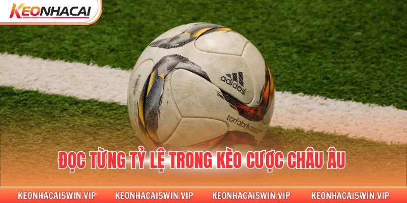 Đọc từng tỷ lệ trong kèo cược châu âu 