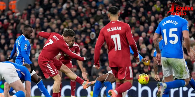 Sunderland vs Liverpool luôn cho thấy sự chênh lệch